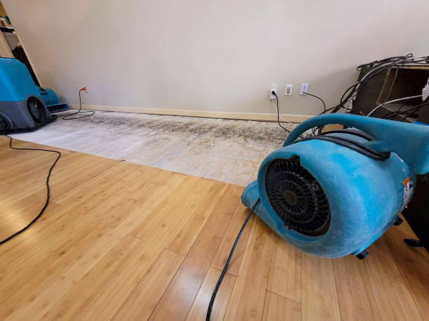 Professional Sewage Cleanup technician working in Modoc, IN